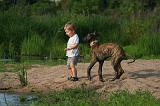 ENFANT ET CHIEN 620